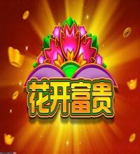 开放的用户反馈通道